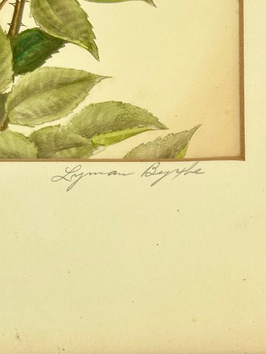 Lyman Byxbe, Pair of Framed Botanic Lithographs