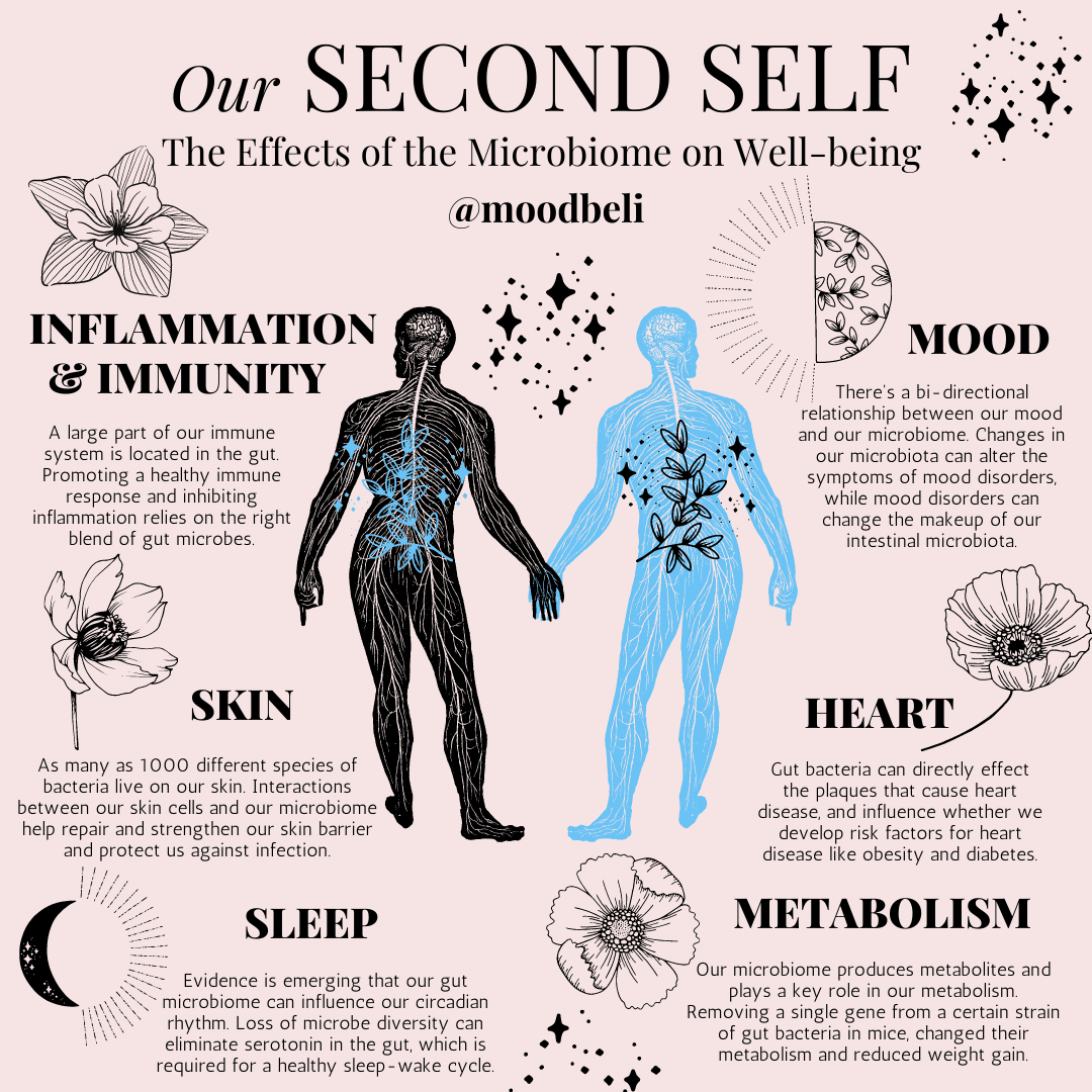 Our Second Self: Microbiome 101 - Moodbeli