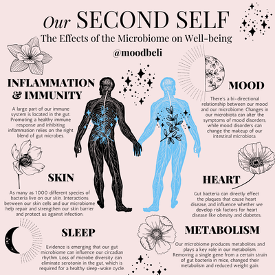 Our Second Self: Microbiome 101