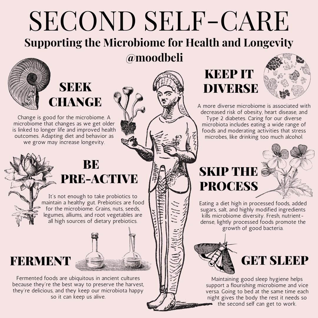 Second Self-Care: Supporting the Microbiome for Health and Longevity - Moodbeli
