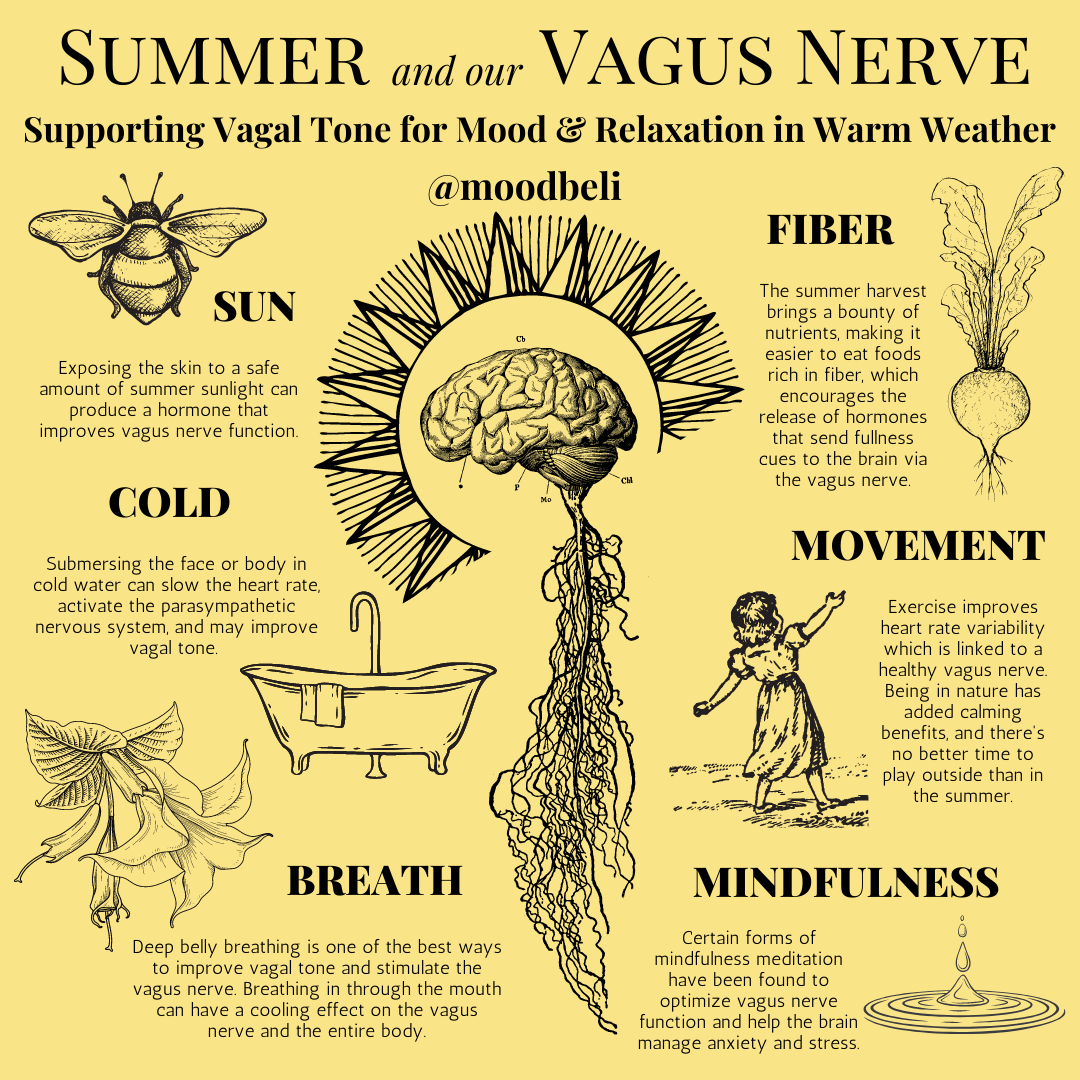 Summer and Our Vagus Nerve