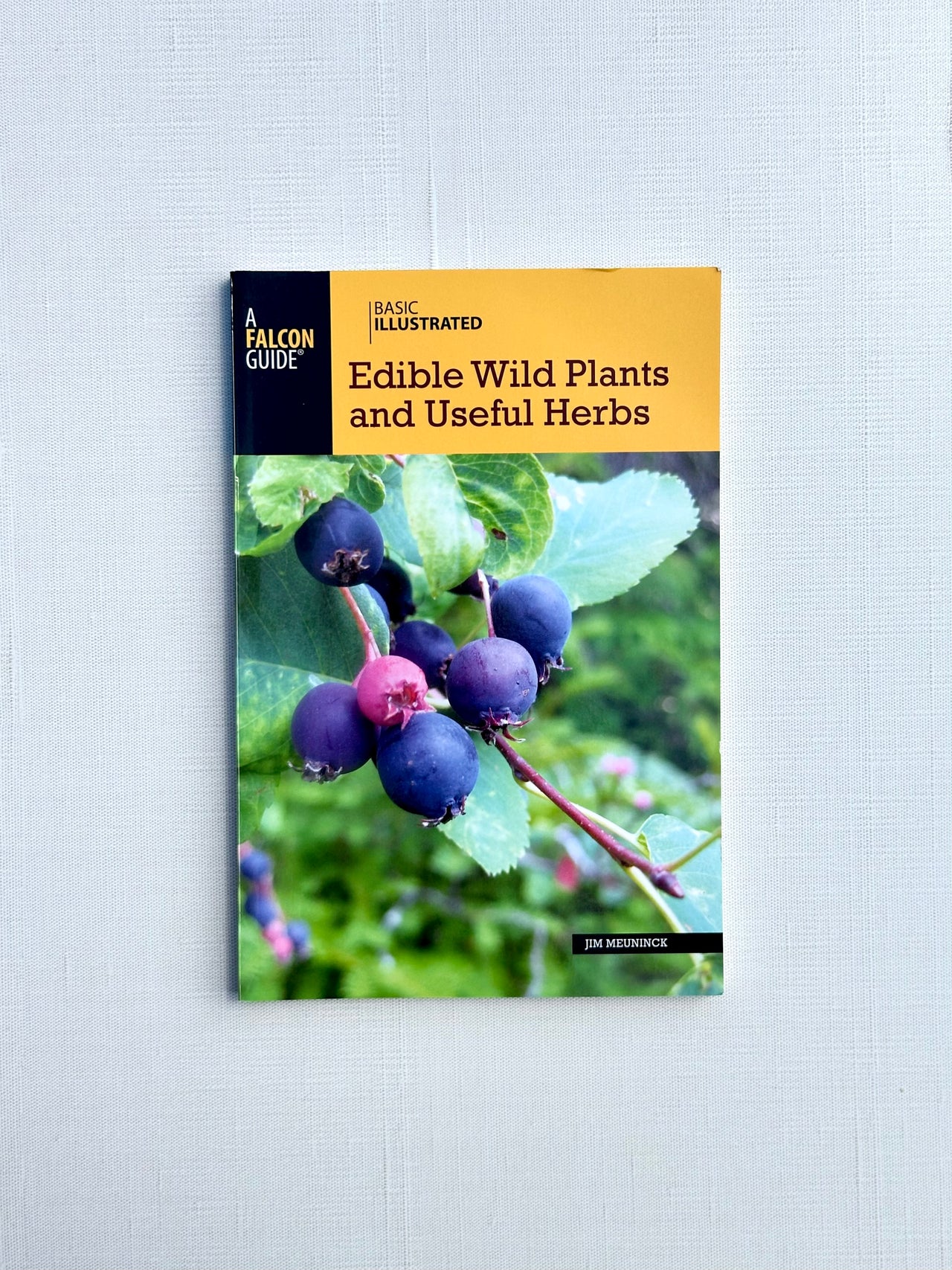 Edible Wild Plants and Useful Herbs