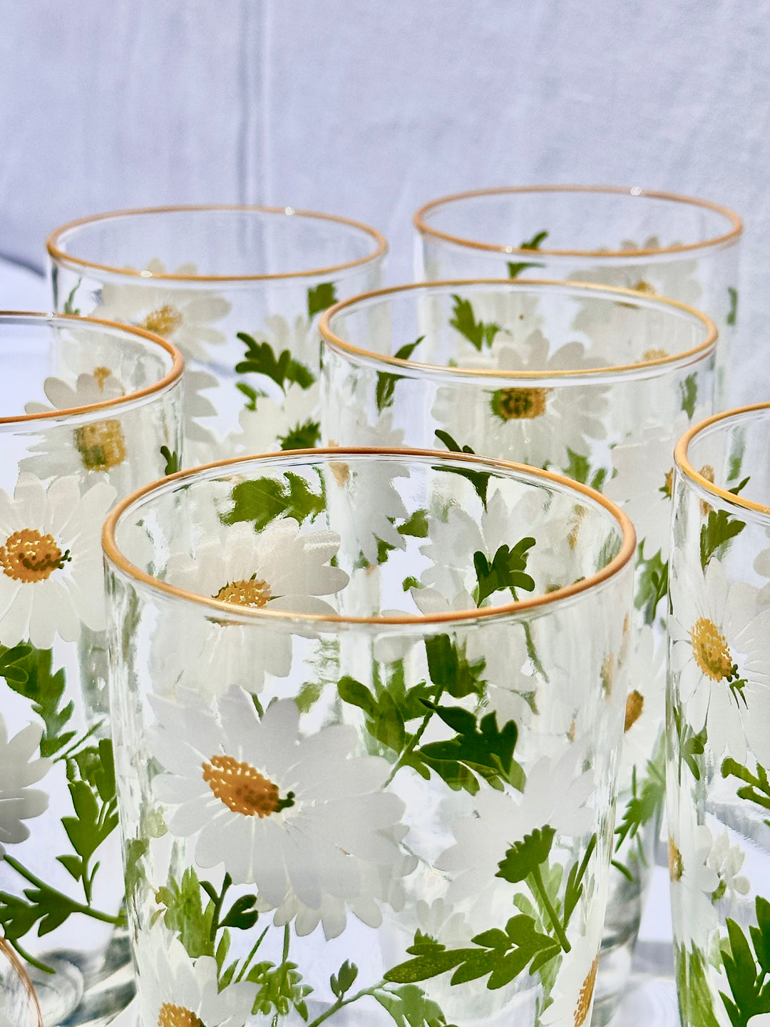 Vintage 1970's Libbey Daisy Glass Tumblers (Set of 2)