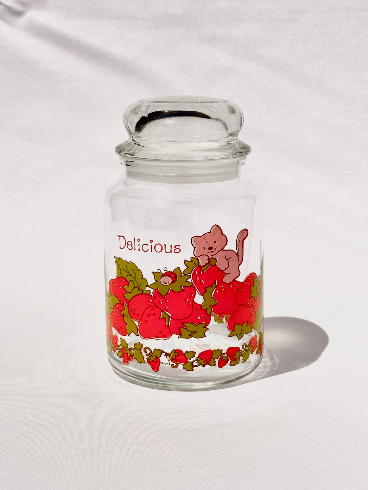 Strawberry Shortcake Custard The Cat Glass Canister