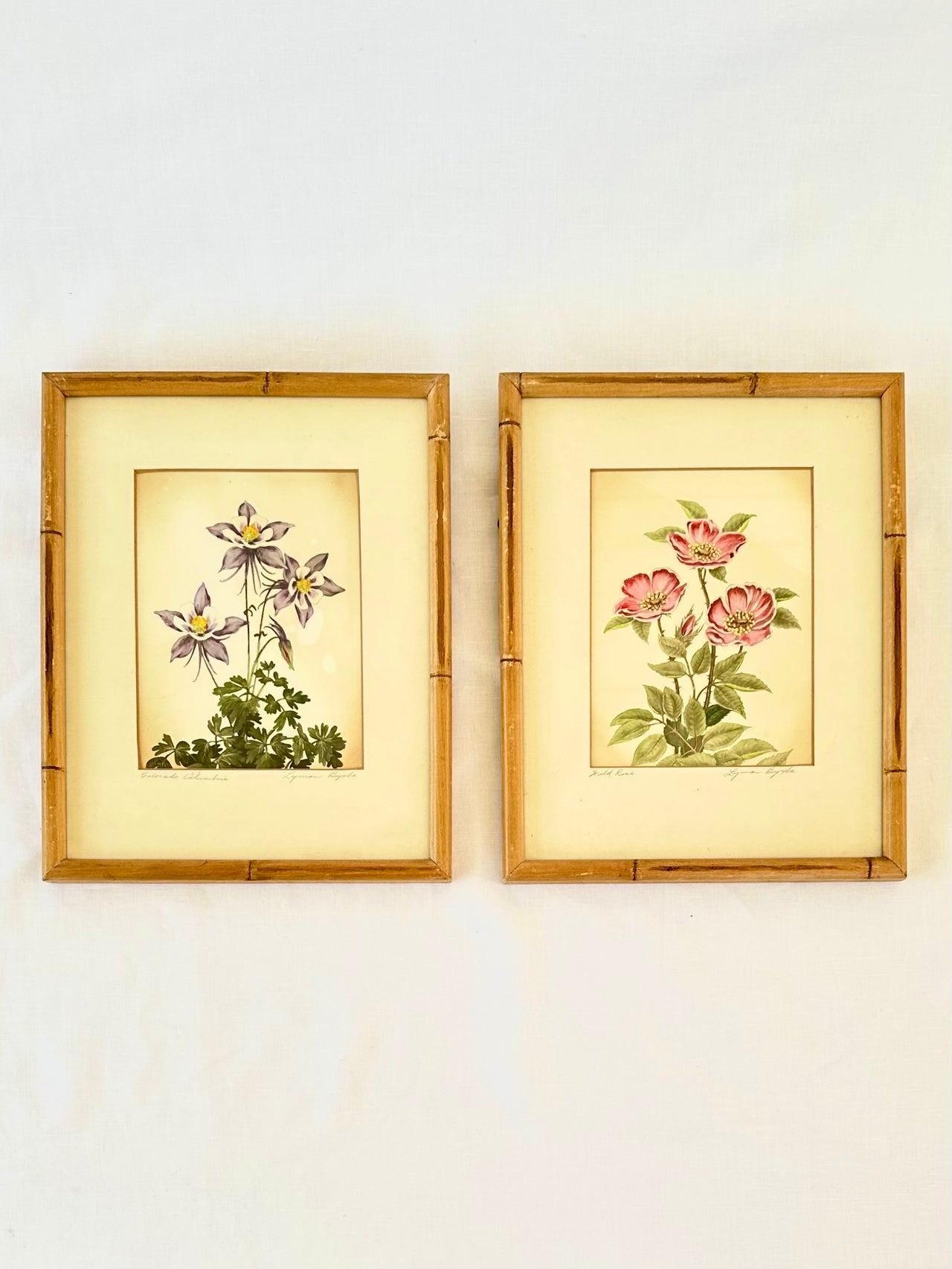 Lyman Byxbe, Pair of Framed Botanic Lithographs